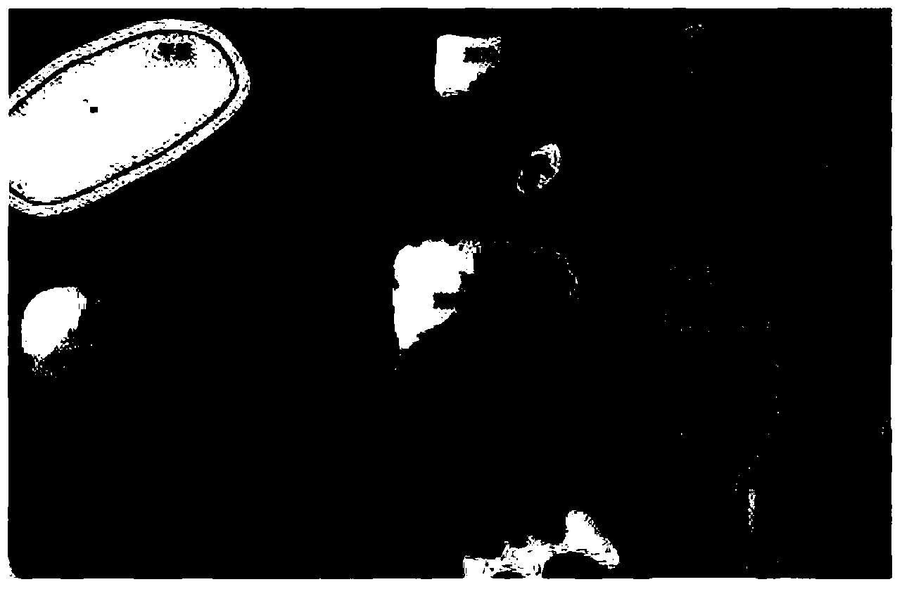 Multi-accuracy node positioning method based on area judgment