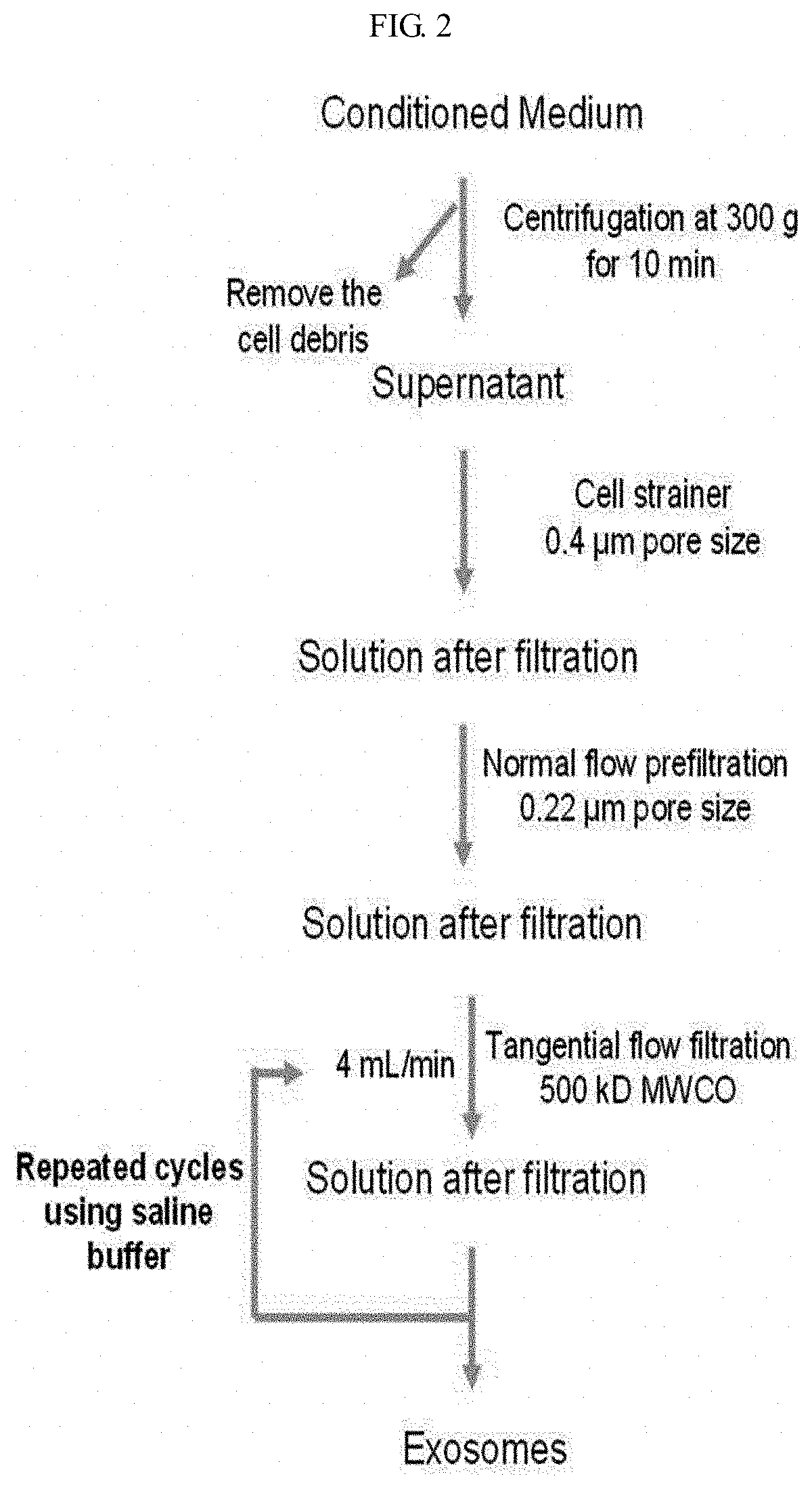 Composition for preventing or treating pulmonary fibrosis containing exosome isolated from adipose-derived stem cell as active ingredient