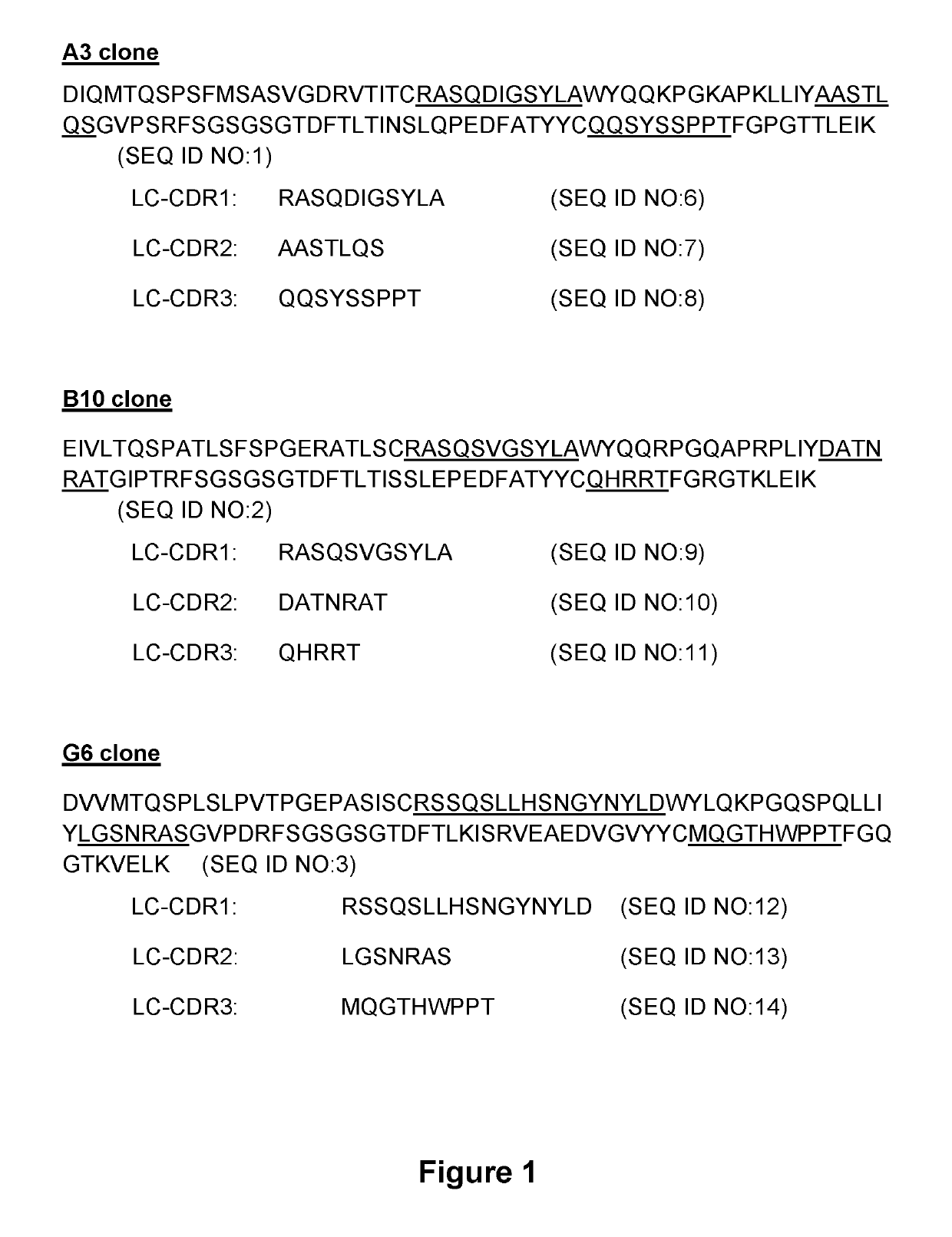 Anti-TIM-3 antibodies