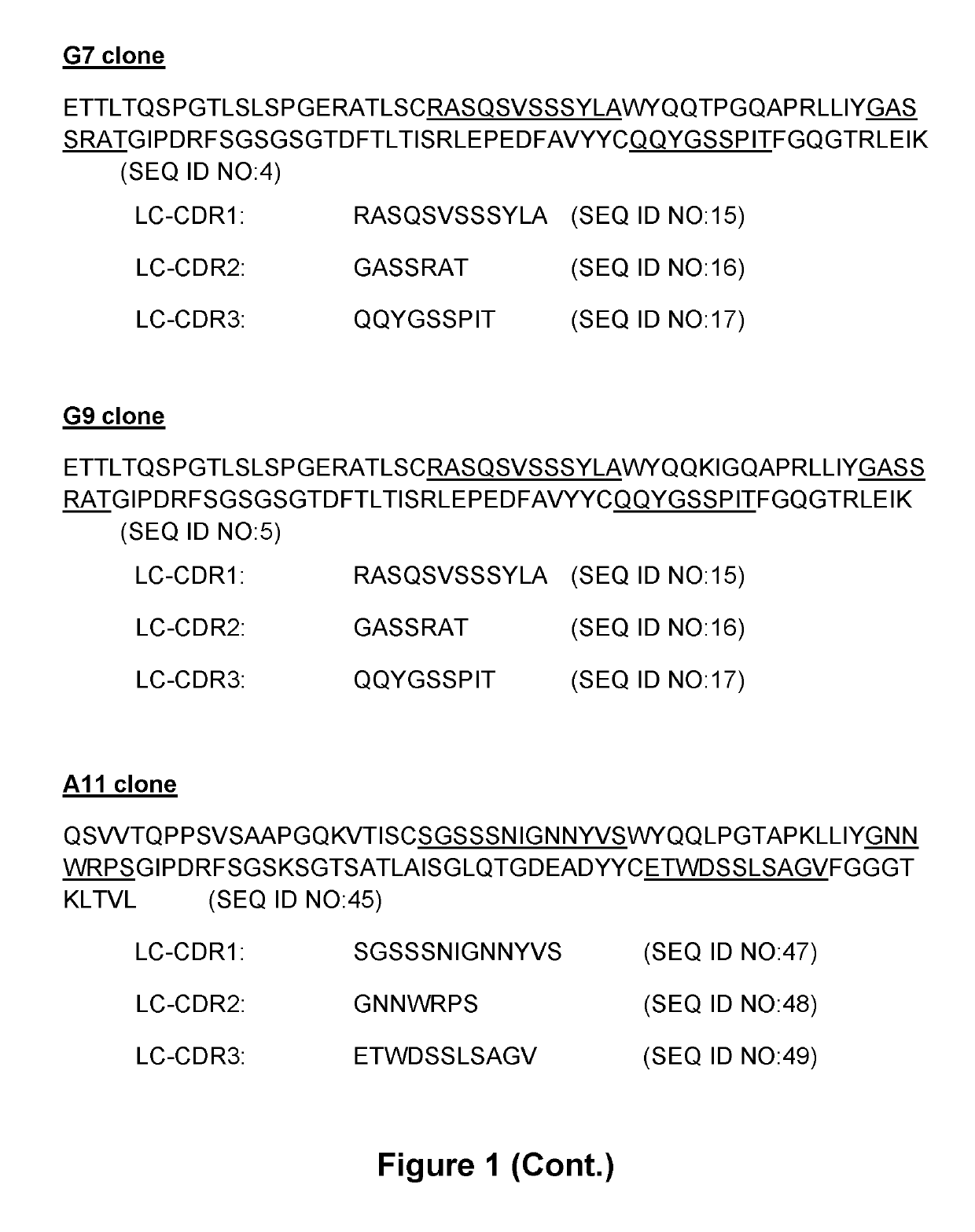 Anti-TIM-3 antibodies