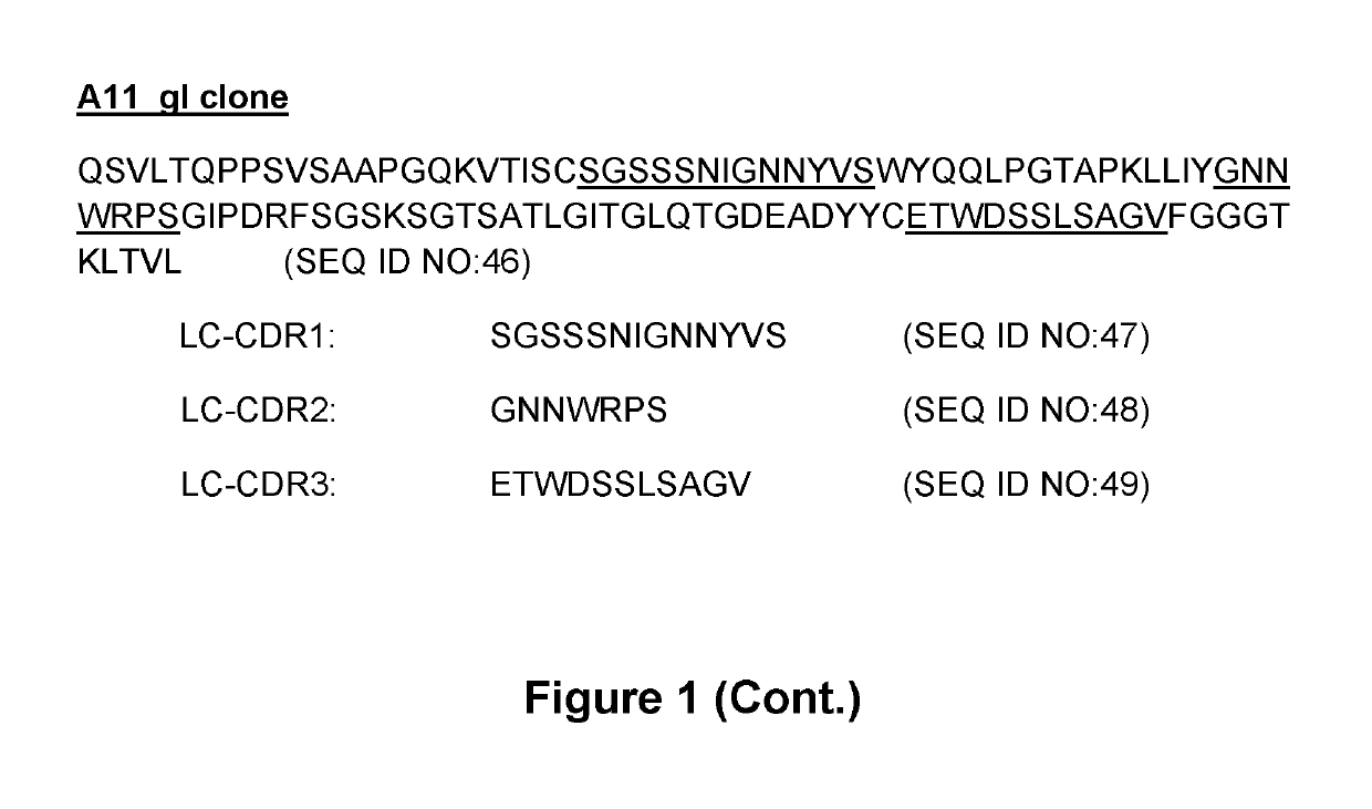 Anti-TIM-3 antibodies