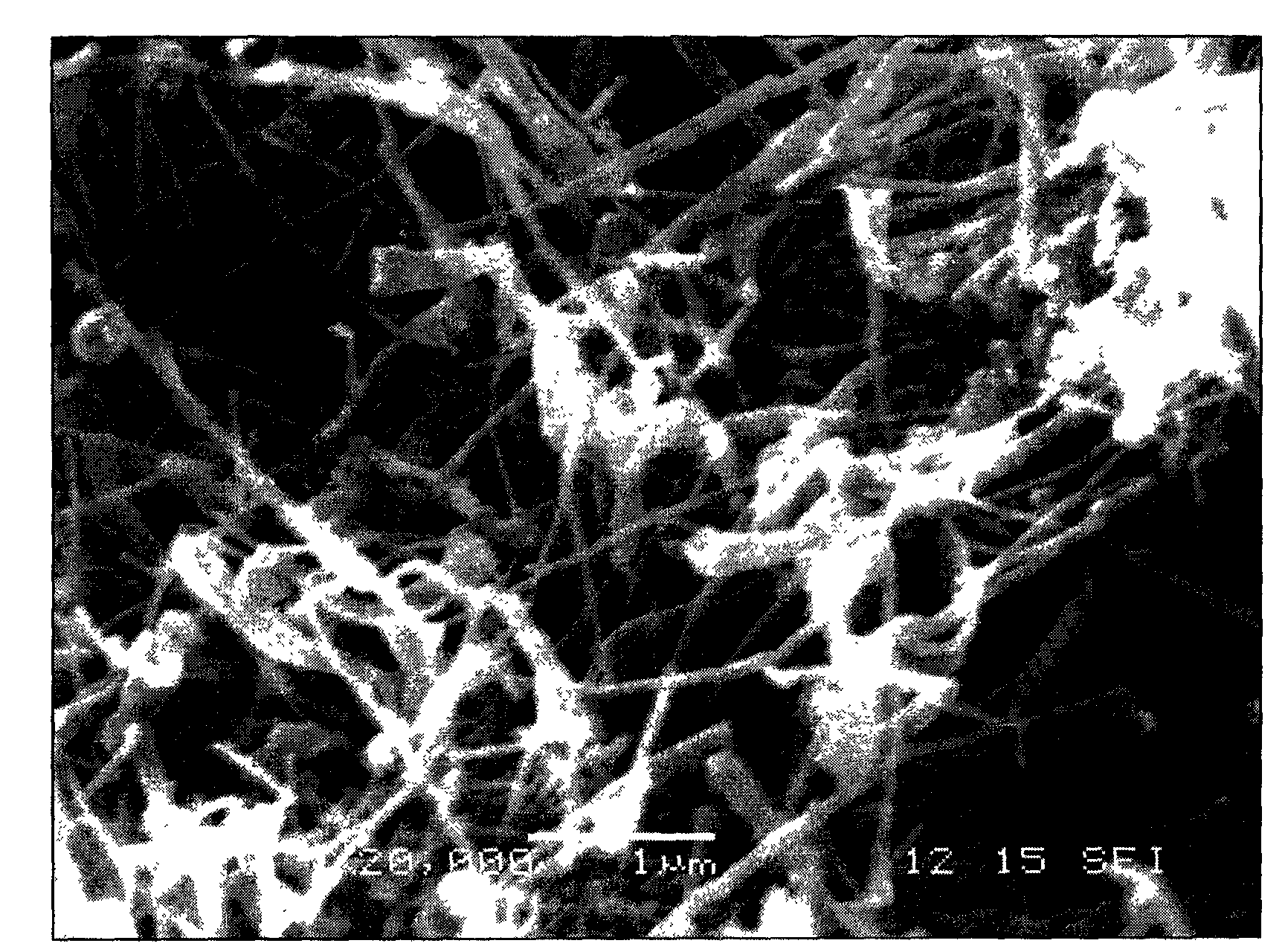 Method for preparing boron nitride nanotubes by annealing of inorganic boracic precursor