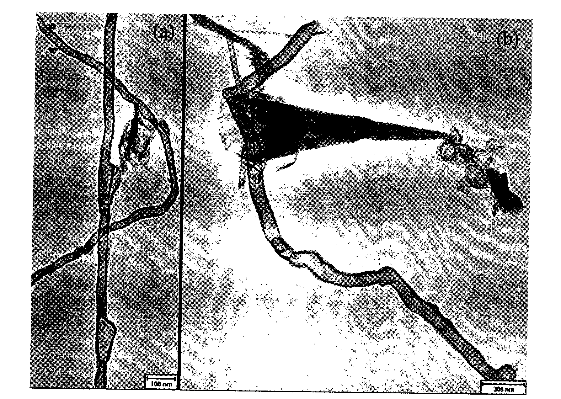 Method for preparing boron nitride nanotubes by annealing of inorganic boracic precursor