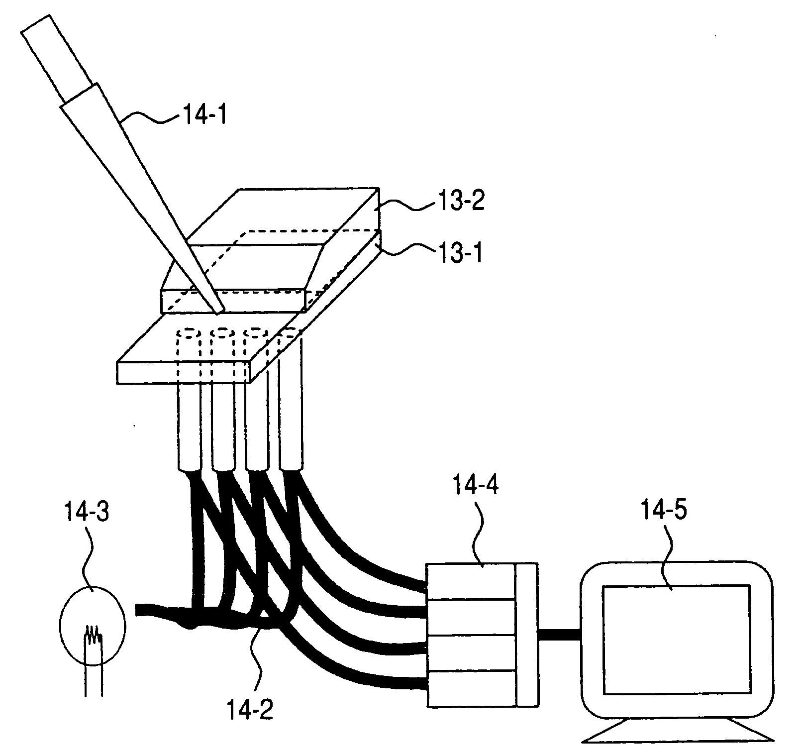 Cells for biochemical analysis, kit for biochemical analysis, and biochemical analyzer