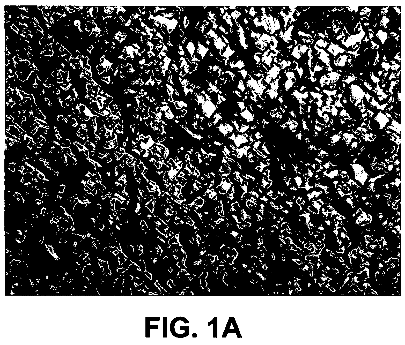 Controlled phase transition of metals