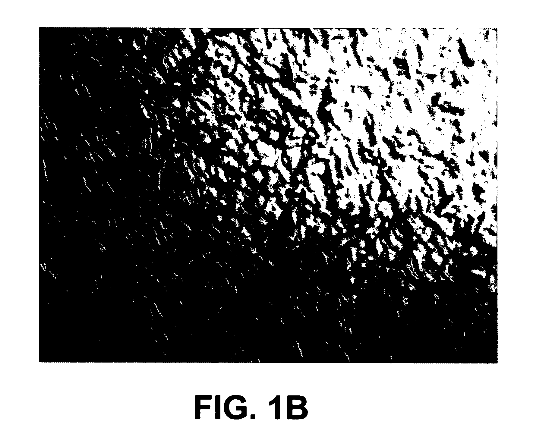 Controlled phase transition of metals