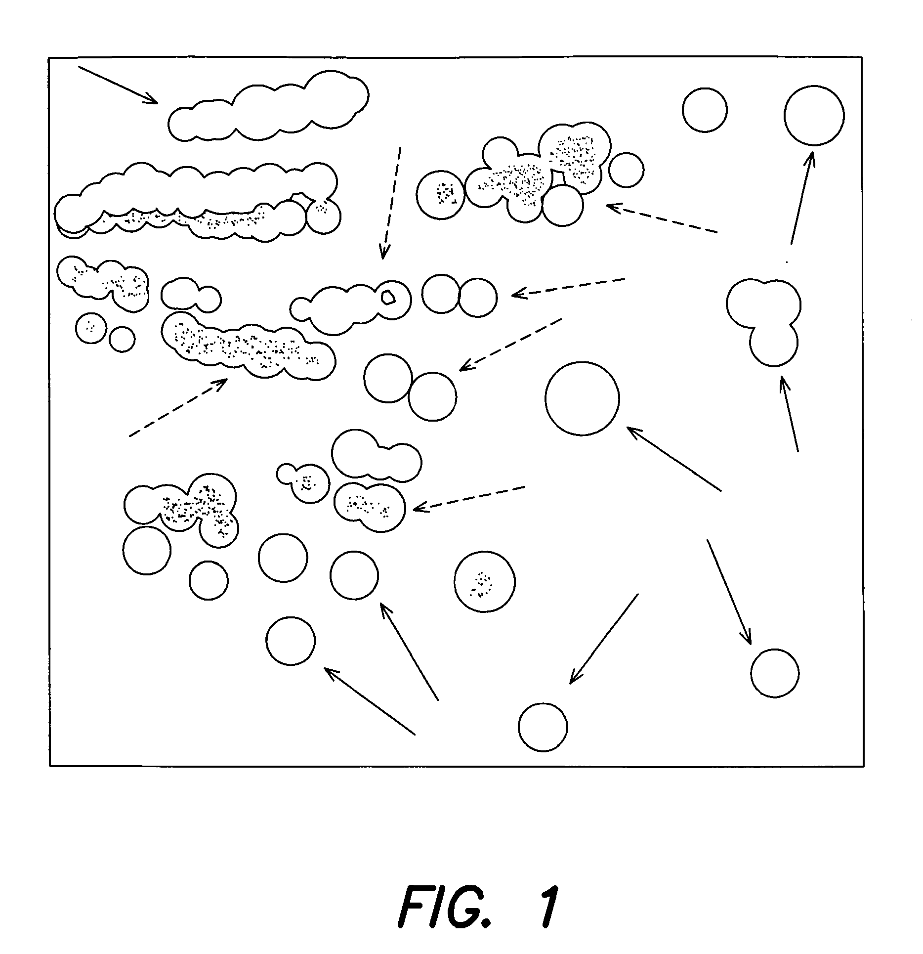 Global transcription machinery engineering targeting the rnap alpha subunit (RPOA)