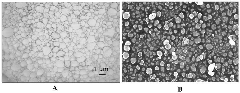 Fire extinguishing diaphragm capable of actively inhibiting thermal runaway of lithium battery as well as preparation method and application of fire extinguishing diaphragm