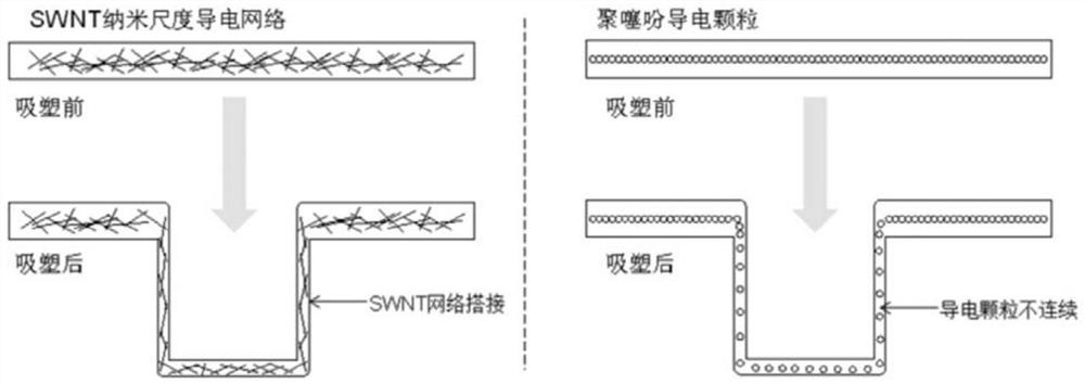 Anti-static coating, preparation method thereof, and blister product