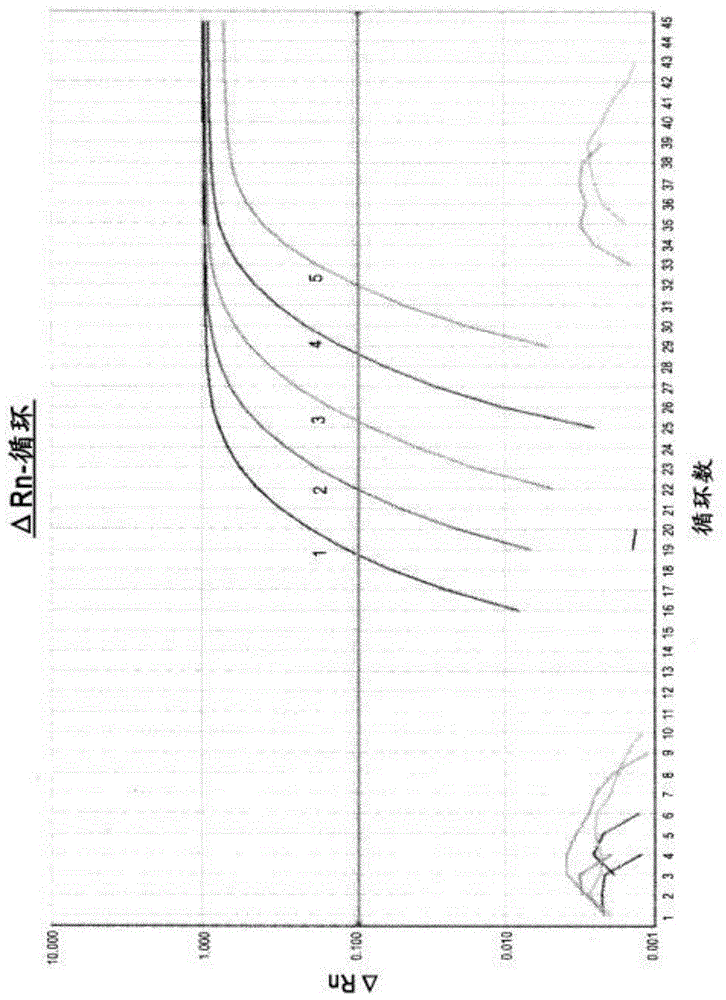 Quantification method for expression level of WT1 mRNA