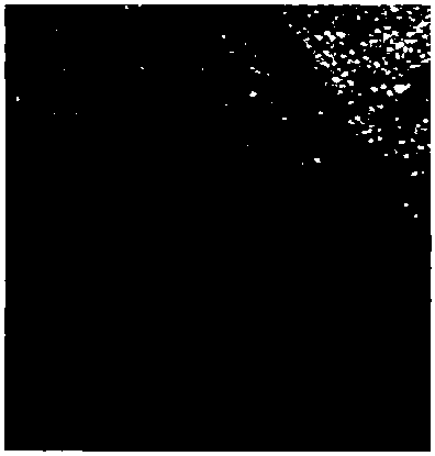 Visible and non-invasive diabetes diagnosis preparation as well as preparation and use methods thereof