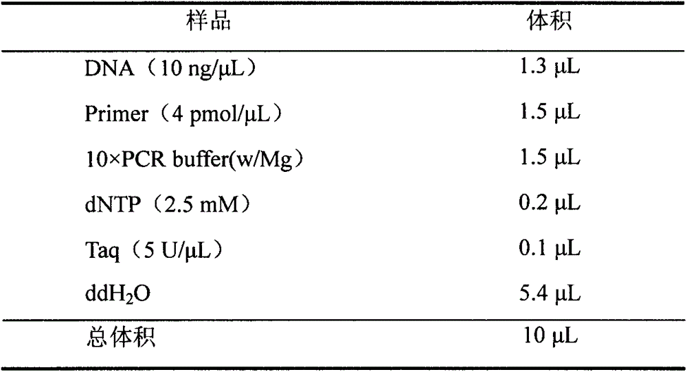 SSR (simple sequence repeat) markers on No.3 chromosome, closely linked to RBSDV (rice black-streaked dwarf virus) resistant QTL (quantitative trait locus) and application thereof