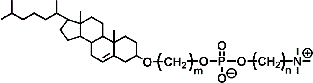 Preparation of Supramolecular Hydrogels Using Amphiphilic Small Molecules Based on Cholesterol and Phosphocholine