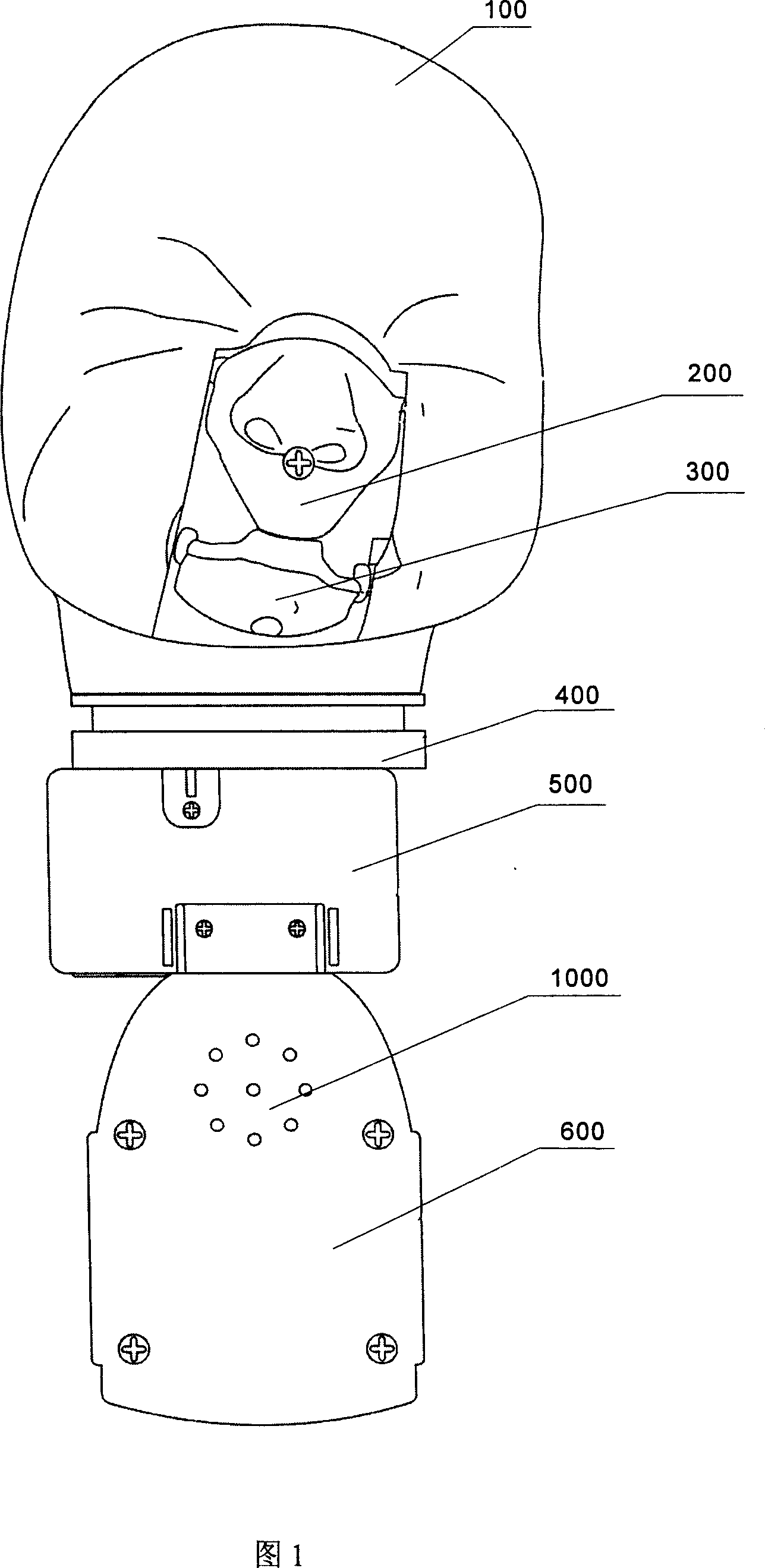 Simulating electronic doll