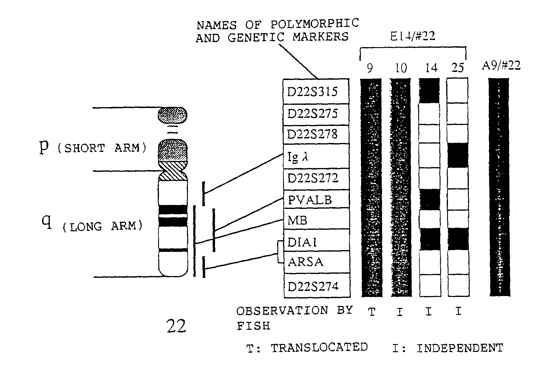 Method for modifying chromosomes