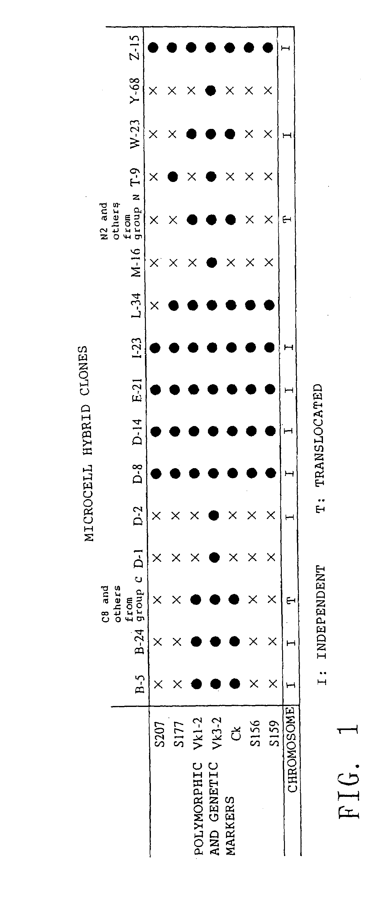 Method for modifying chromosomes