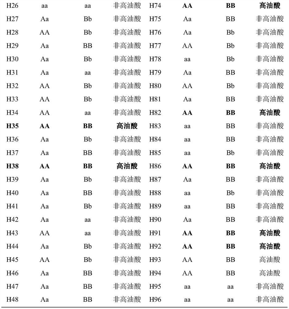 KASP molecular marker for high-throughput detection of high oleic acid mutation site of cotton GhFAD2-1 gene