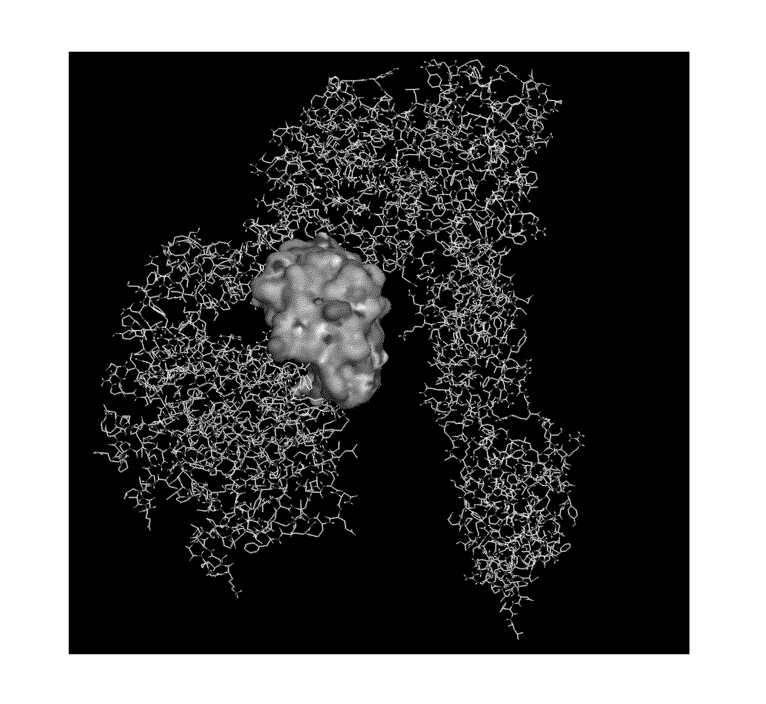 Polypeptides, nucleic acid molecule encoding polypeptides, and uses of polypeptides