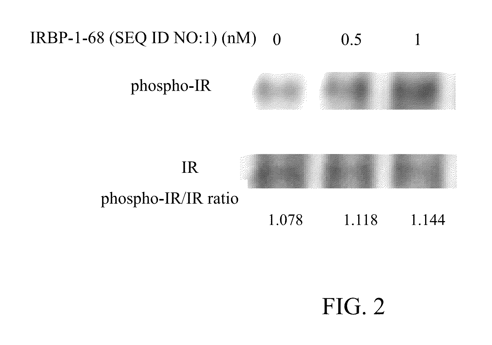 Polypeptides, nucleic acid molecule encoding polypeptides, and uses of polypeptides