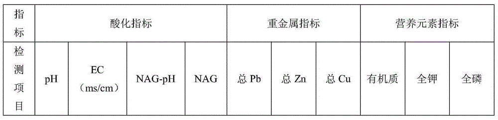 Acidophilus sulfate reducing bacterium strain and application thereof