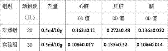 Black tea fungus beverage as well as preparation technology and application thereof