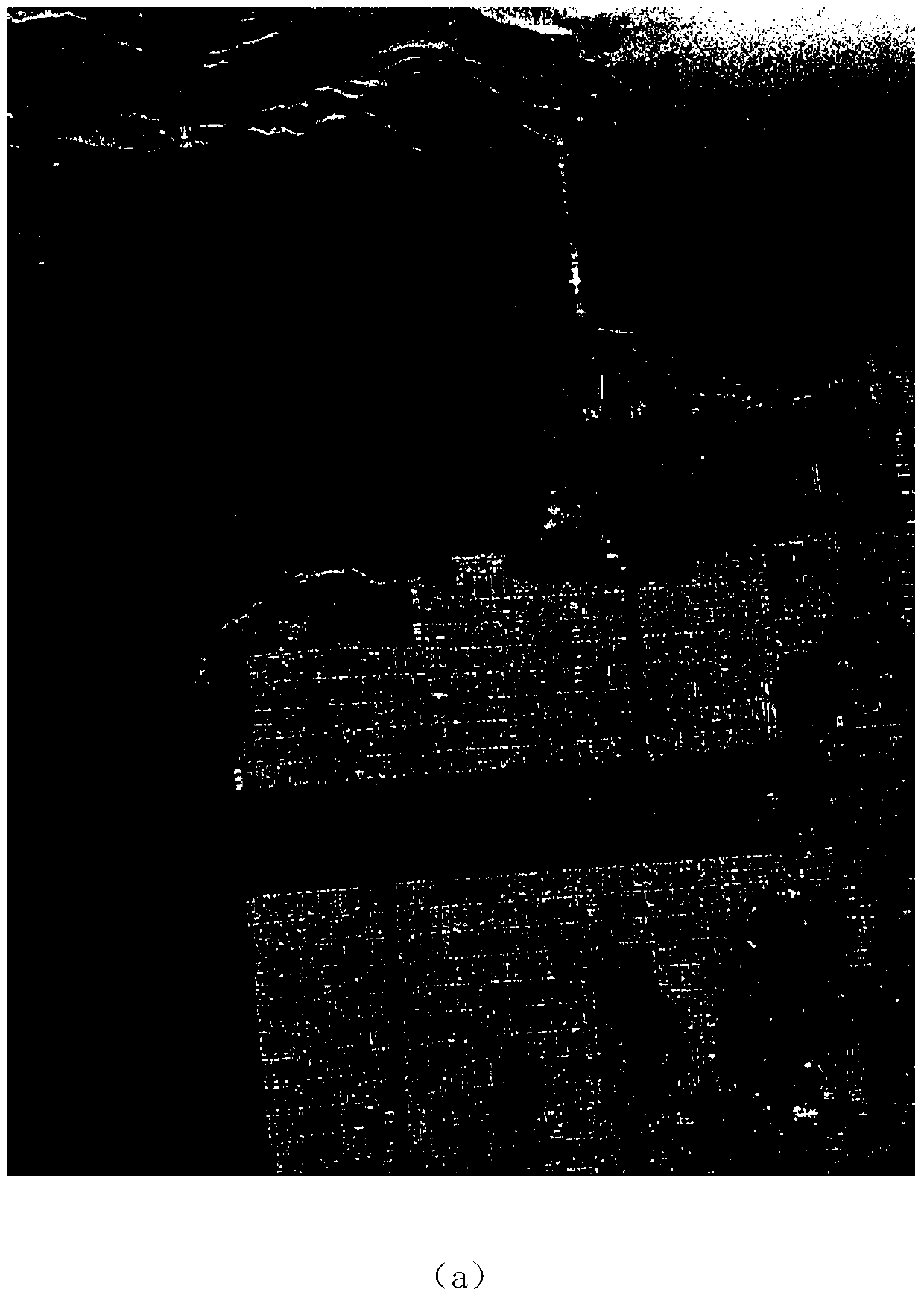 Segmentation Method of Polarized SAR Image Based on Low Rank Decomposition and Histogram Statistics