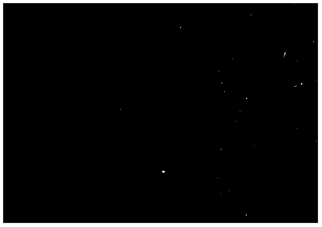 Aqueous high temperature oxidation resistant protective paint, application thereof and production method of titanium ingot