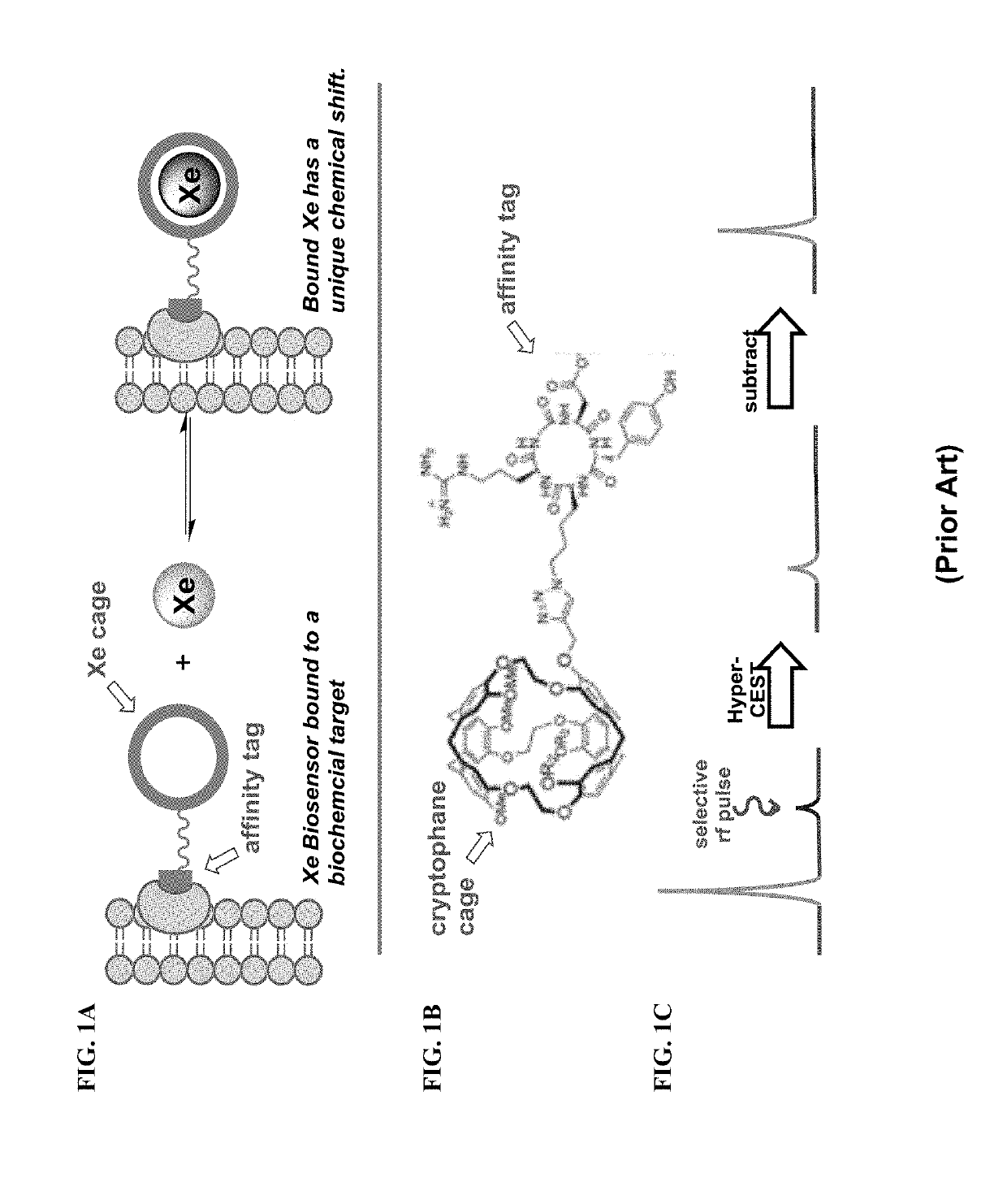 Novel Rotaxane-Type Probe For Molecular Imaging