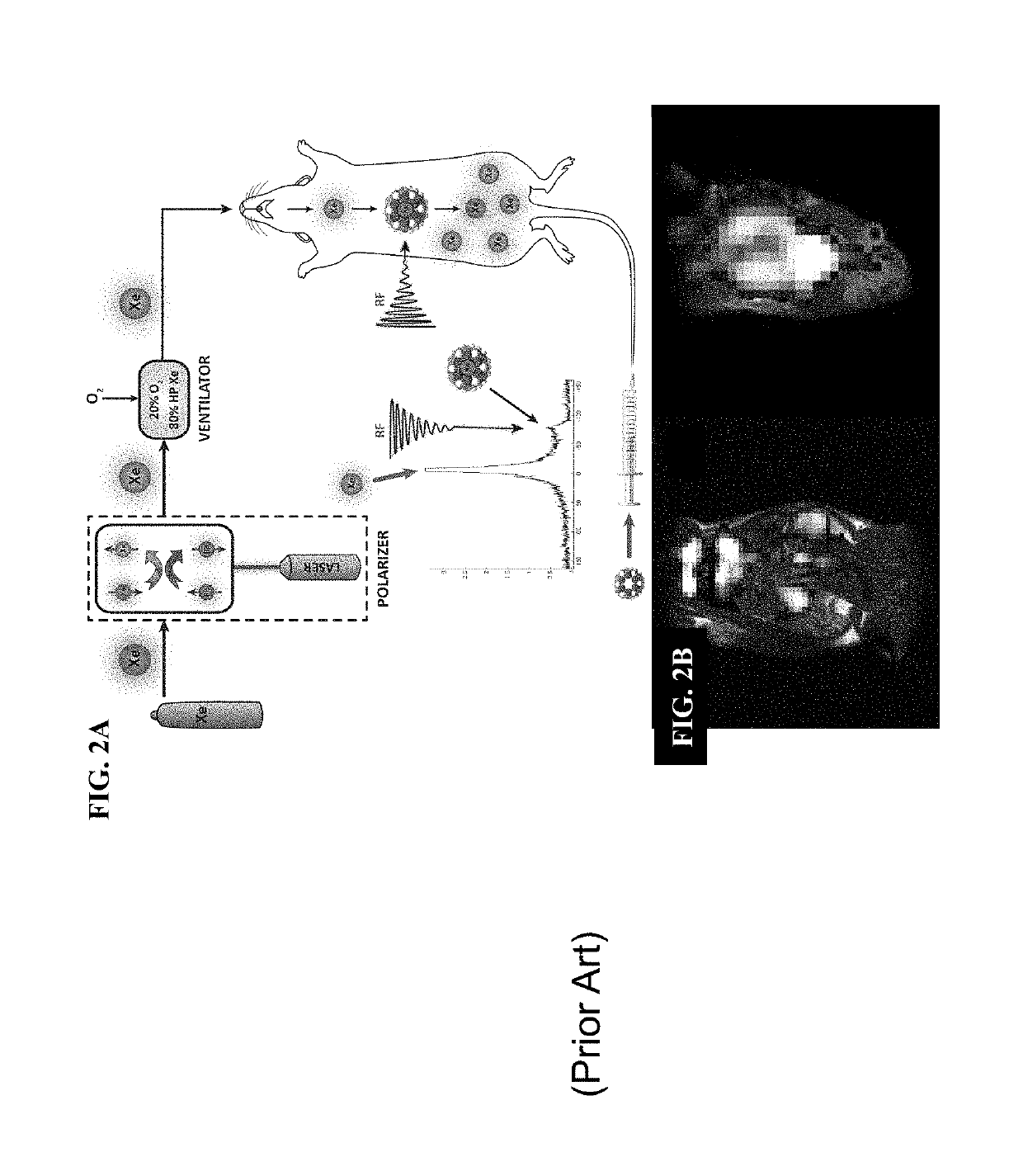 Novel Rotaxane-Type Probe For Molecular Imaging