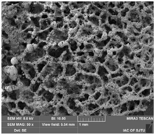 Sprayable silicone rubber-based lightweight ablation-resistant thermal insulation coating and application thereof