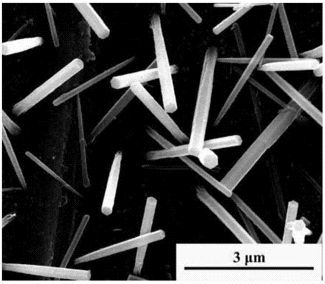 Method for constructing micro-nano structure with antibacterial function on surface of metal substrate