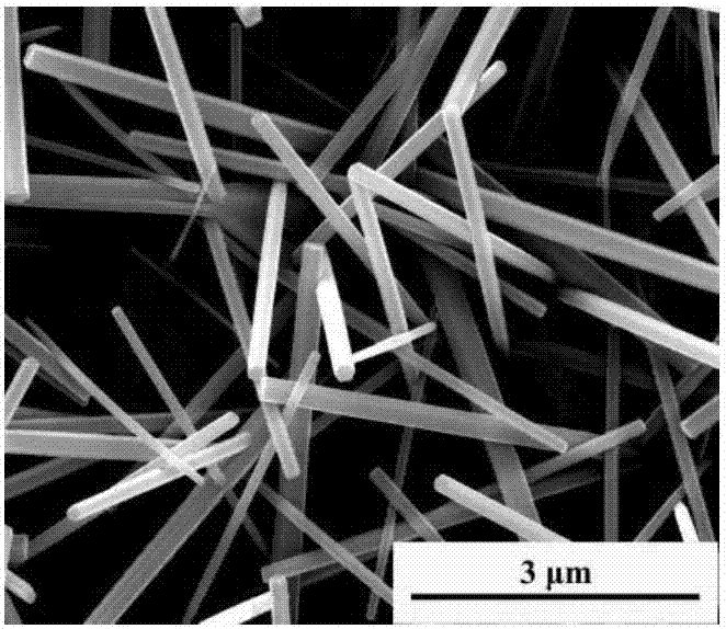 Method for constructing micro-nano structure with antibacterial function on surface of metal substrate