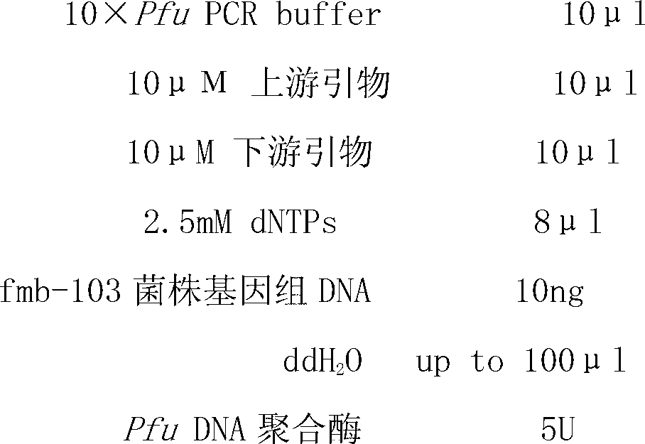 Laccase gene as well as encoded protein and application thereof