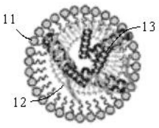 Receptor-transfected microvesicles, ligand-transfected microvesicles, and two-stage guided cell transfection methods for cell transfection