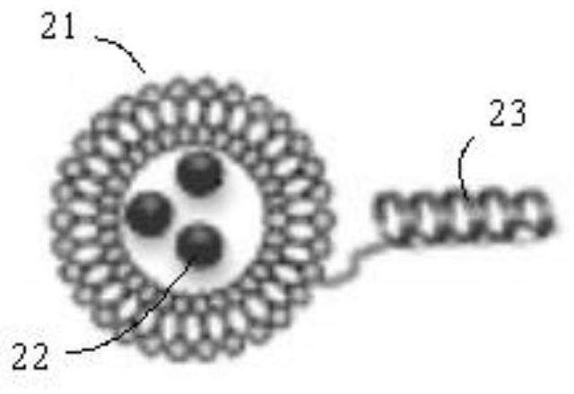 Receptor-transfected microvesicles, ligand-transfected microvesicles, and two-stage guided cell transfection methods for cell transfection