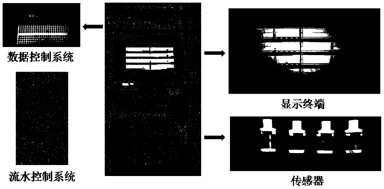 On-line biological water quality monitoring model and its construction method based on the biorhythm of golden crucian carp