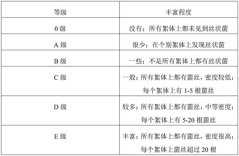 Immobilized activated sludge and preparation method thereof