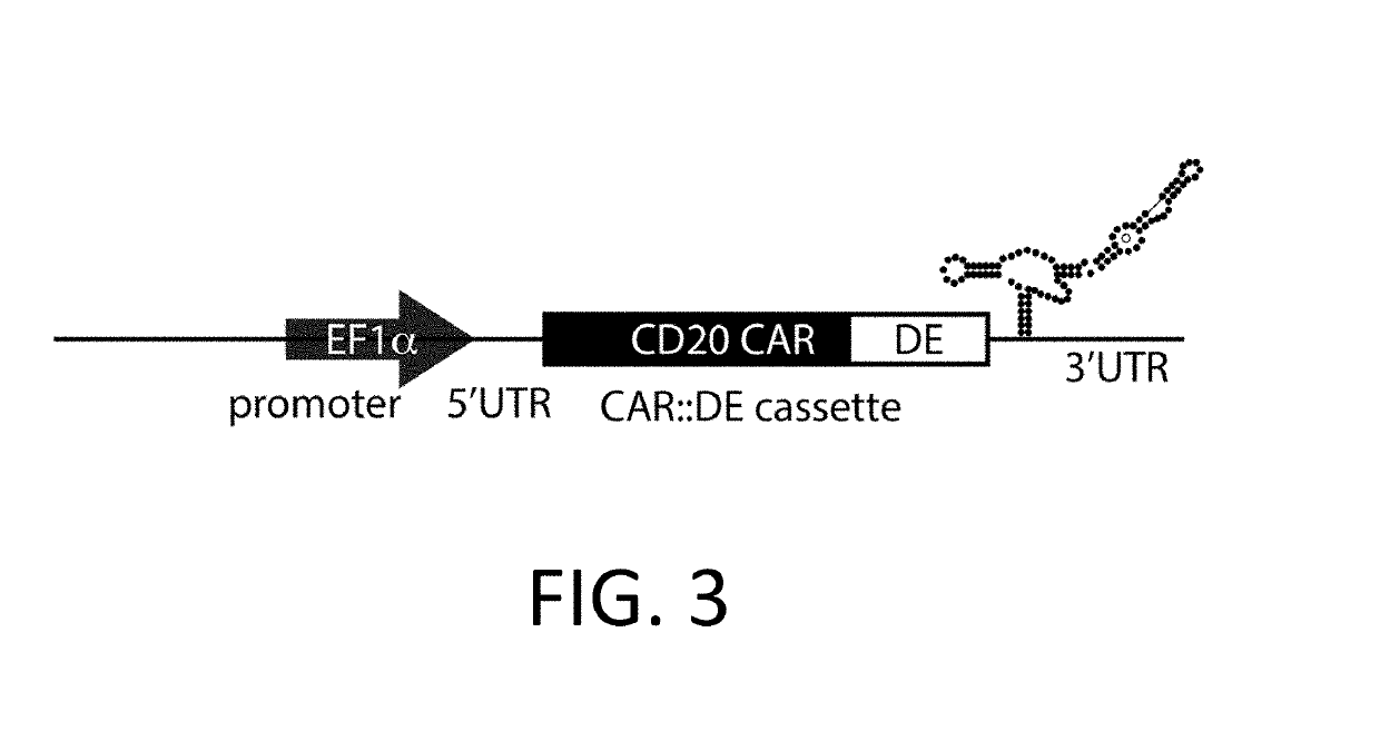 Gold optimized CAR T-cells