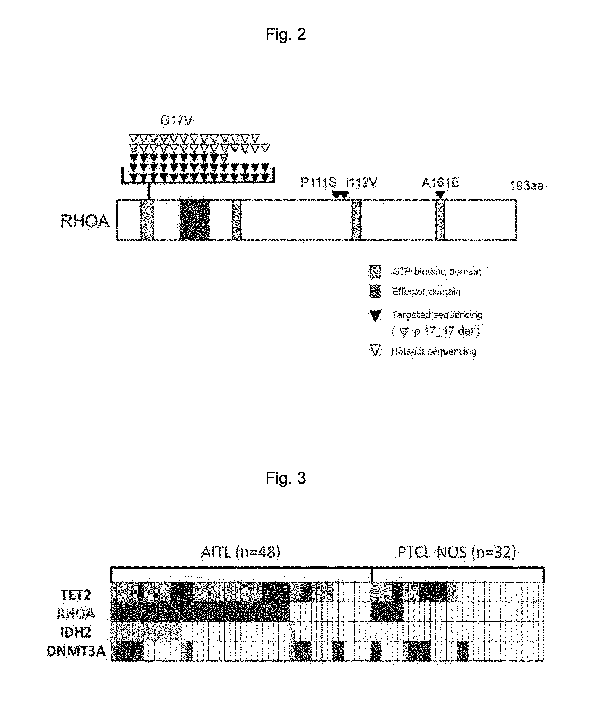 Method for detecting t-cell lymphoma