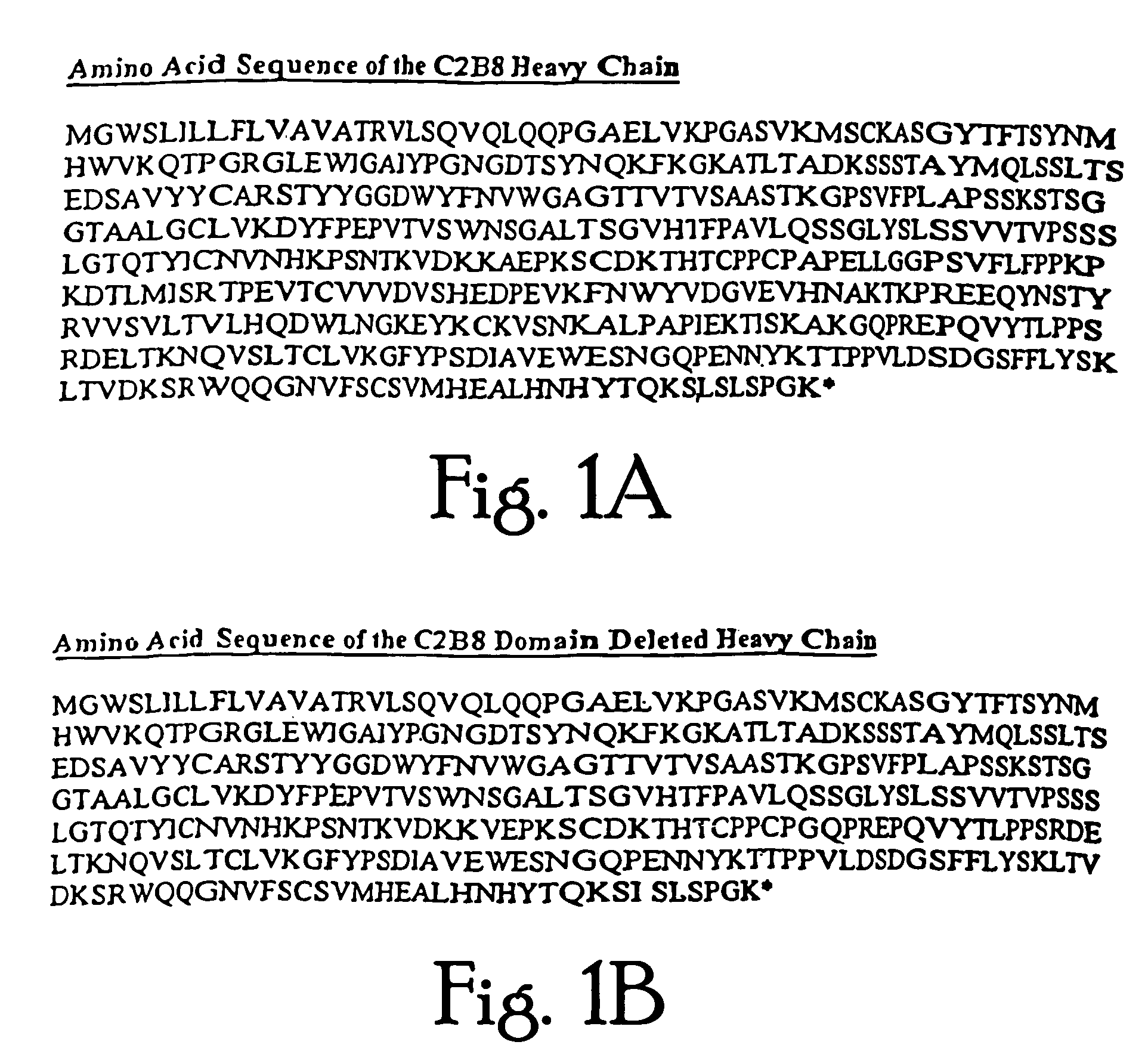 TAG-72 specific CH2 domain deleted antibodies