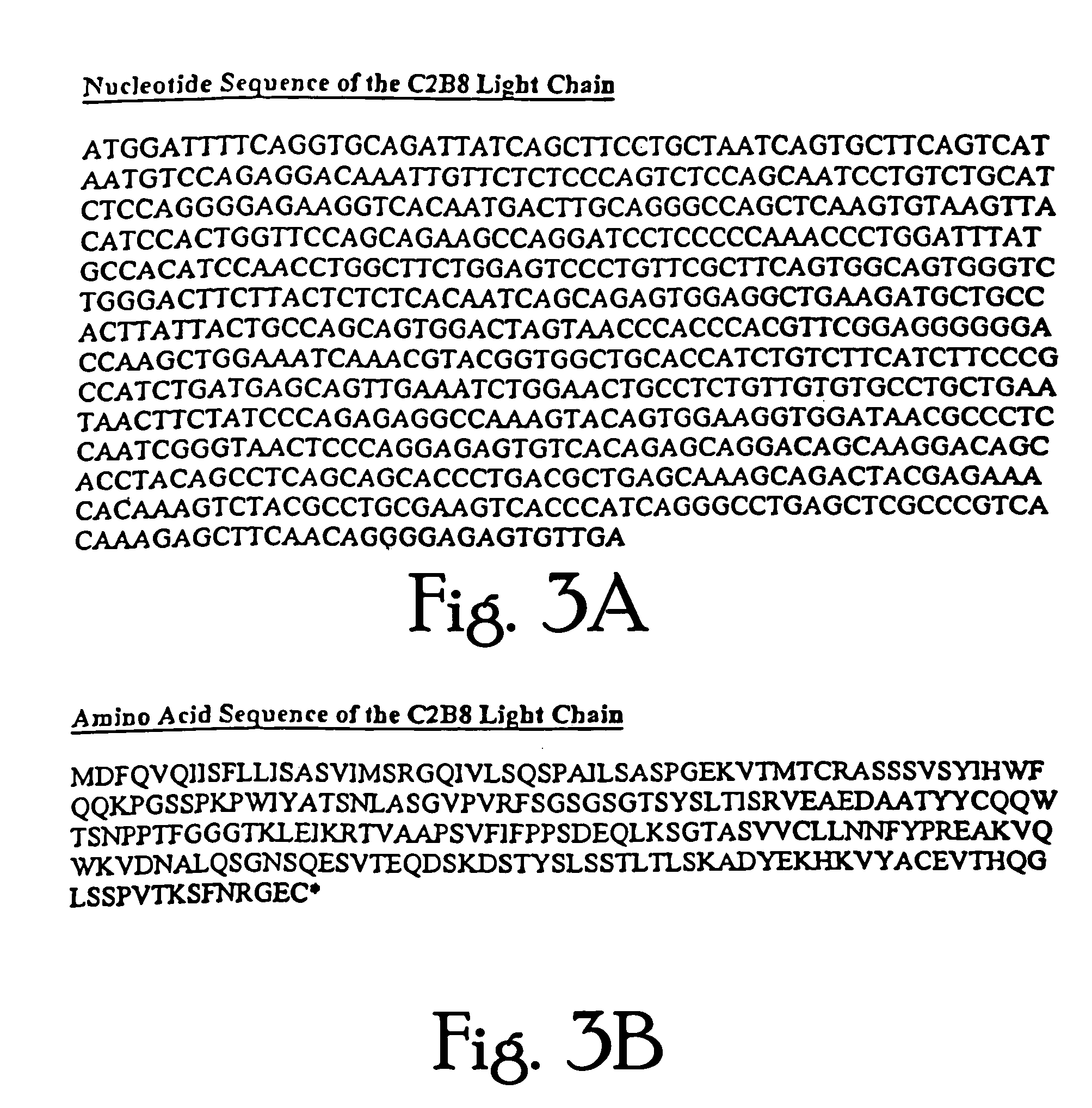 TAG-72 specific CH2 domain deleted antibodies