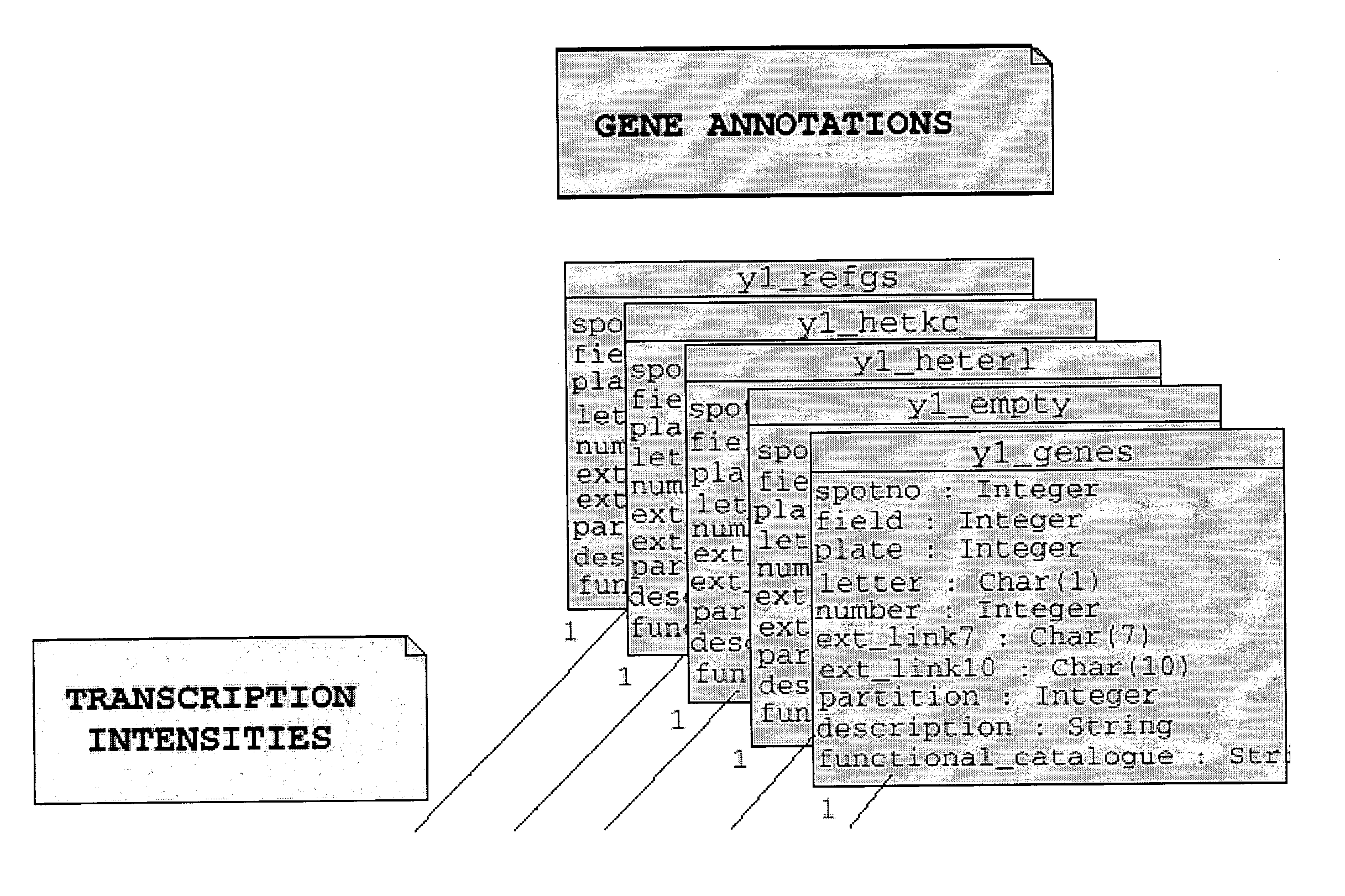 Data warehousing, annotation and statistical analysis system