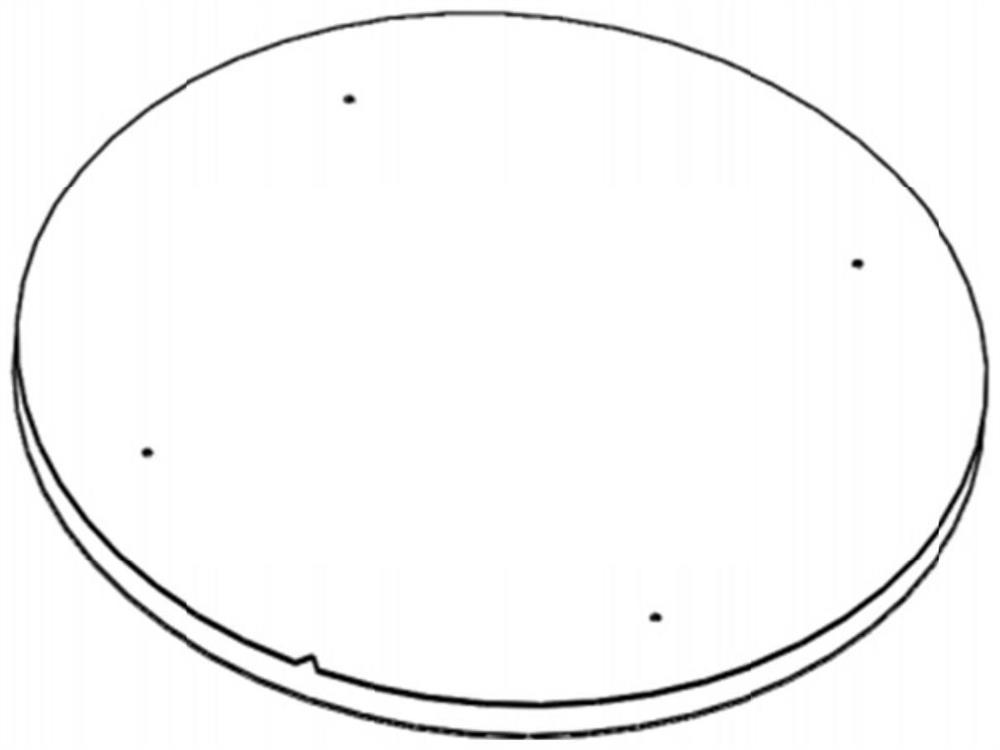 Wafer conveying device, wafer pre-pumping device and rapid wafer conveying system