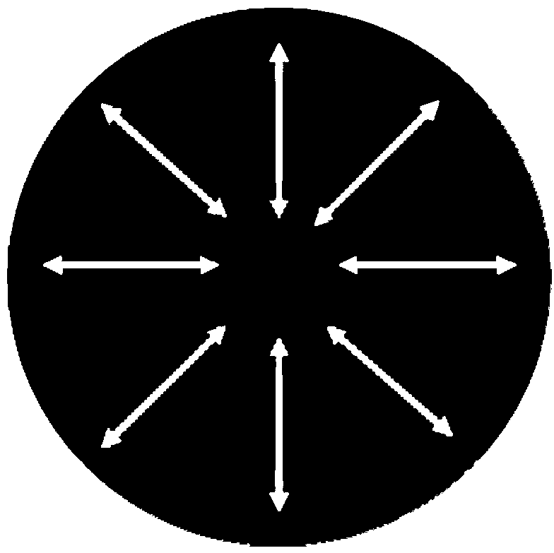 Radial polarization beam laser