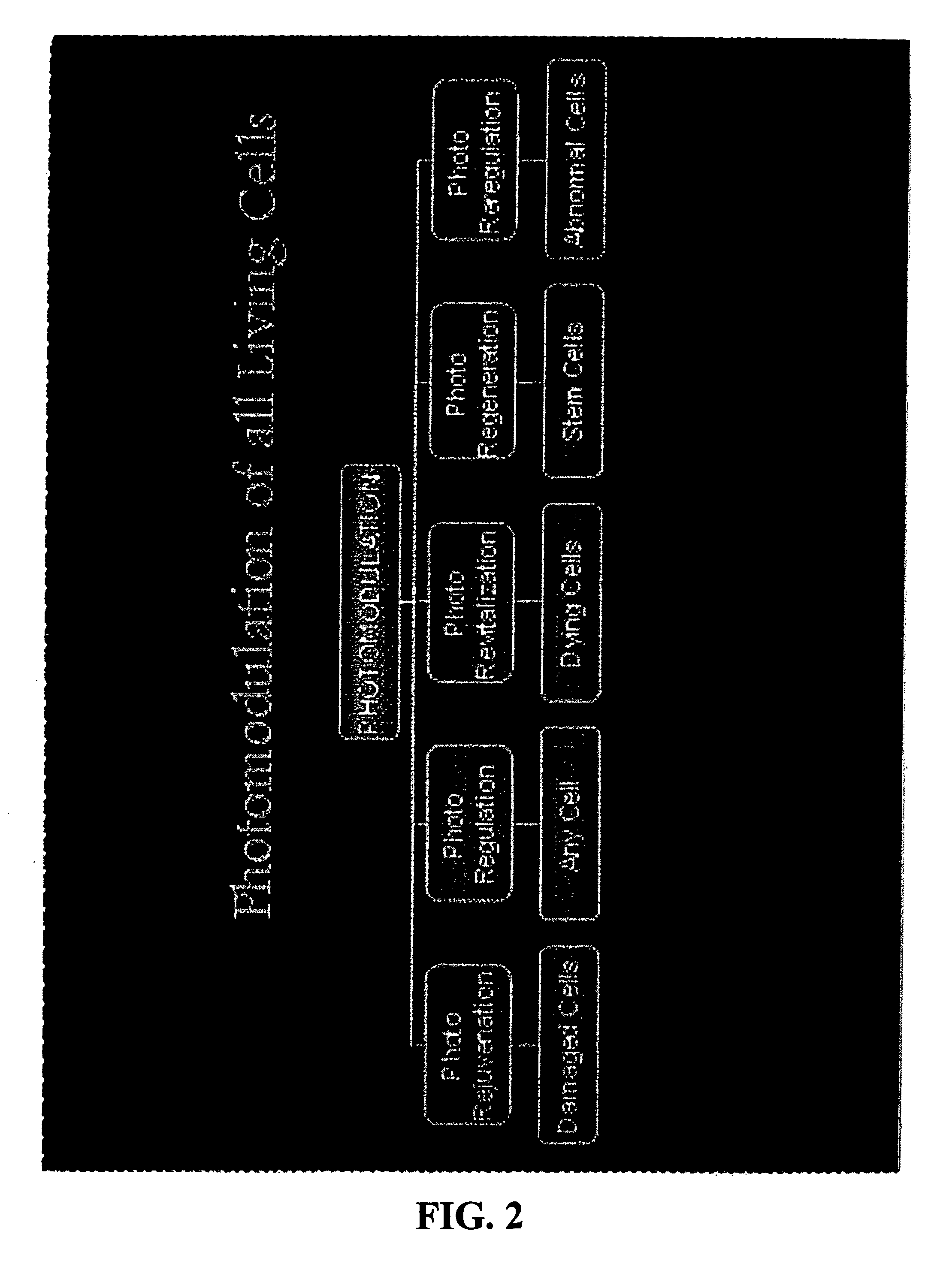 Low intensity light therapy for treatment of retinal, macular, and visual pathway disorders