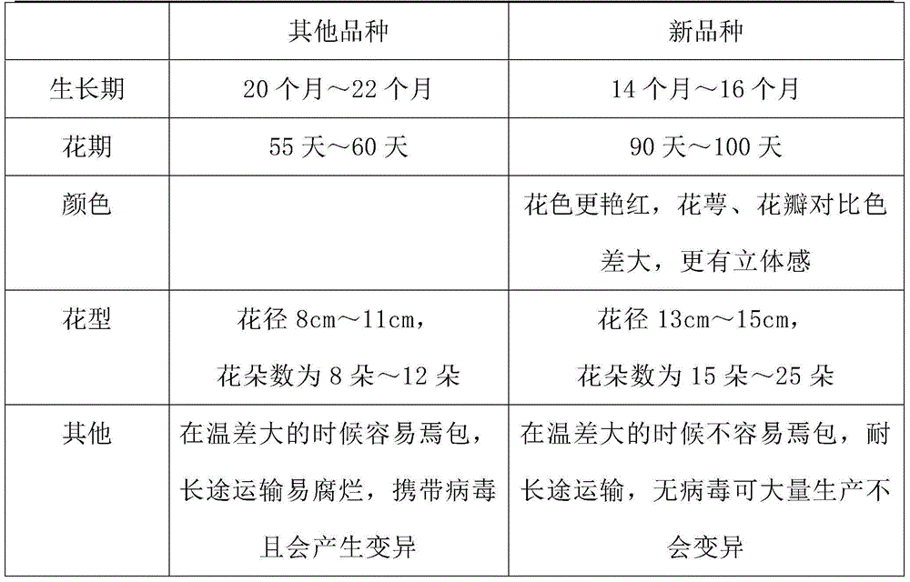 Cultivation method of non-toxic phalaenopsis new product