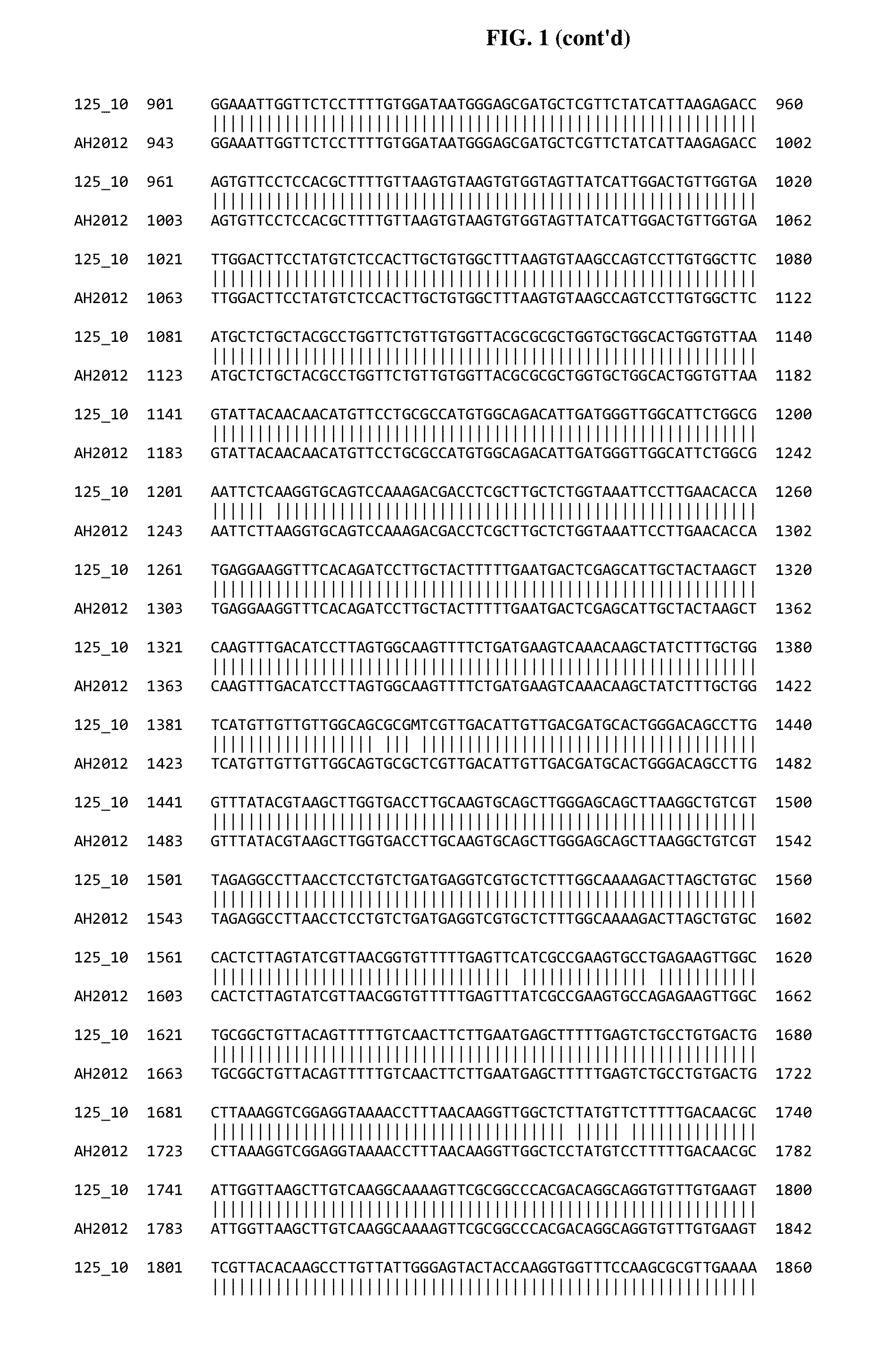 Porcine epidemic diarrhea virus vaccine