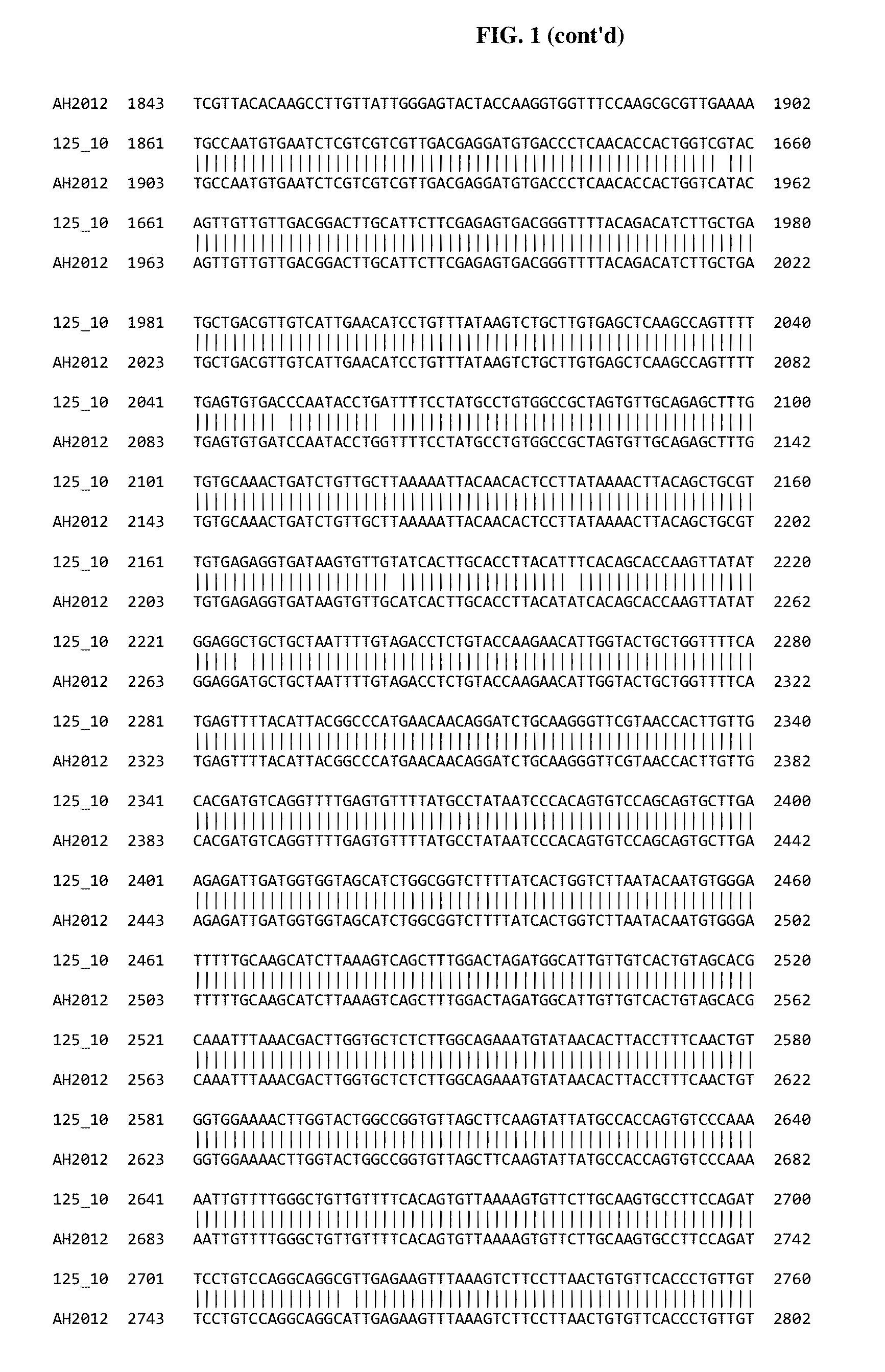 Porcine epidemic diarrhea virus vaccine