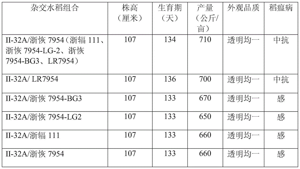 A kind of hybrid rice seed production method