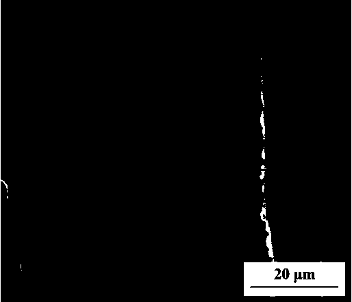 Titanium alloy surface high temperature oxidation resistance and wear resistance oxide gradient coat, and preparation method thereof